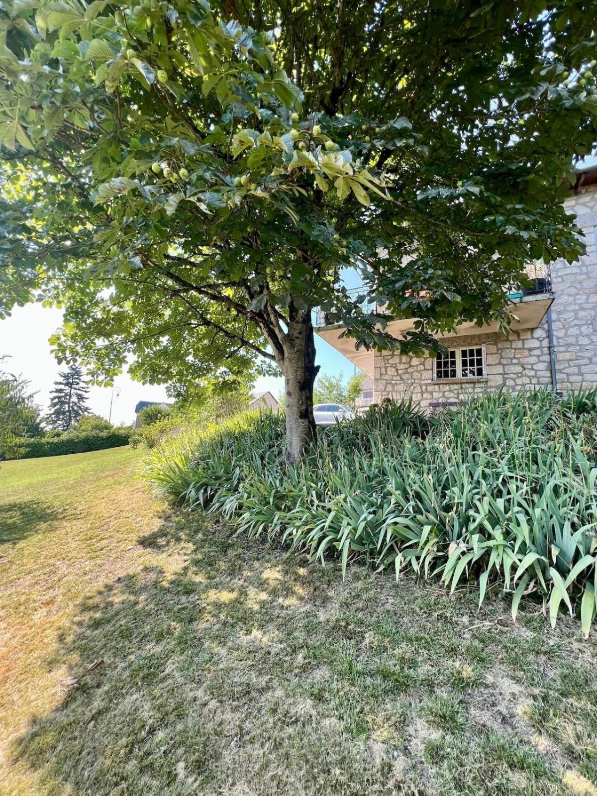 Villa La Baronnie - 11 Pers - Proche Brive -Jardin Ussac 외부 사진